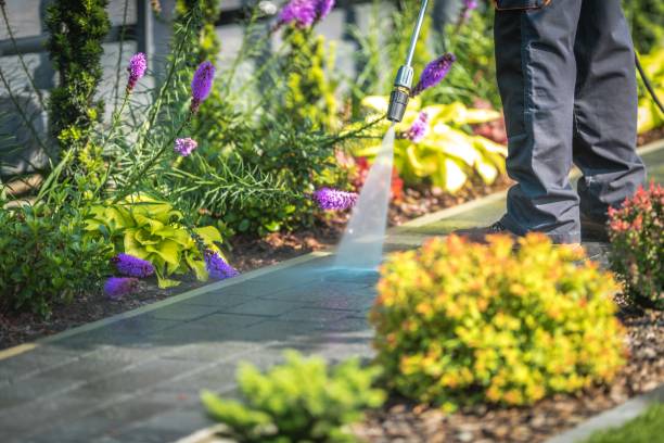 Best Boat and Dock Cleaning  in Hunters Creek Village, TX